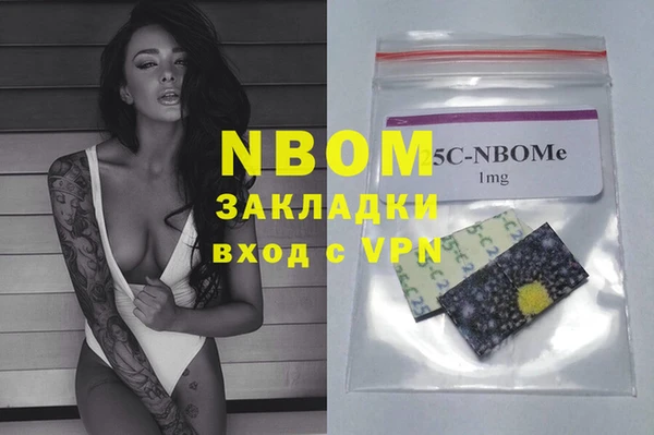 индика Богородицк