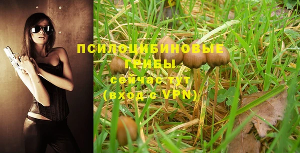 бутик Бородино