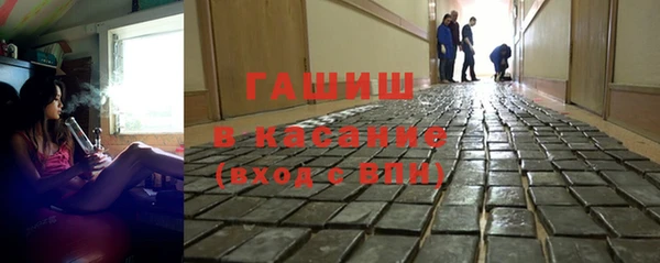 индика Богородицк
