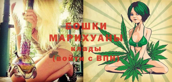 индика Богородицк