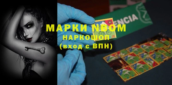 индика Богородицк