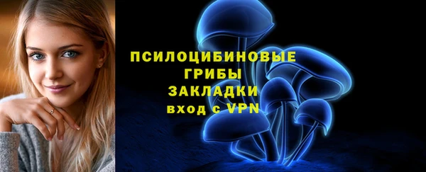 индика Богородицк