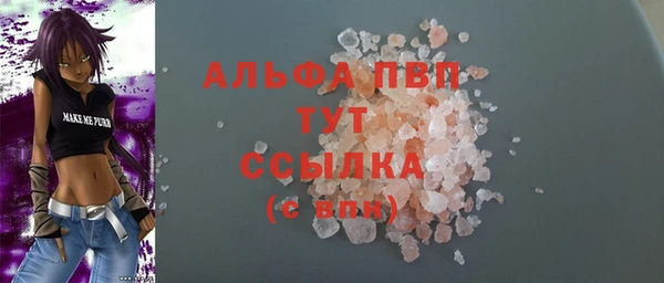 индика Богородицк