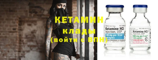 индика Богородицк
