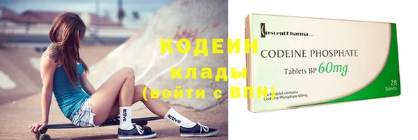 индика Богородицк