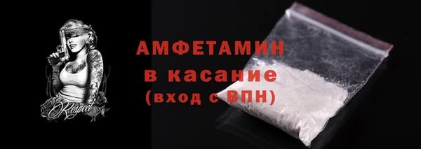 индика Богородицк