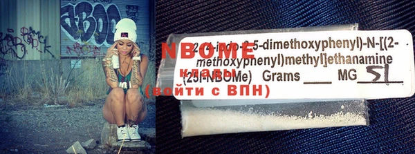 индика Богородицк