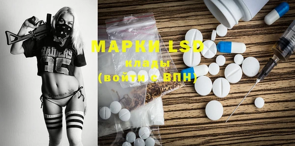 индика Богородицк
