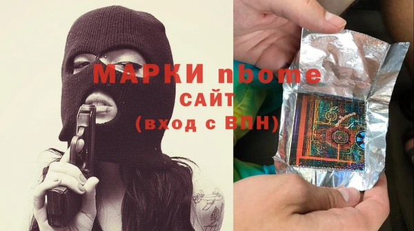 индика Богородицк