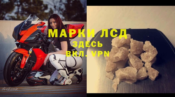 индика Богородицк