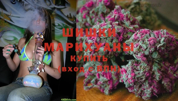 индика Богородицк