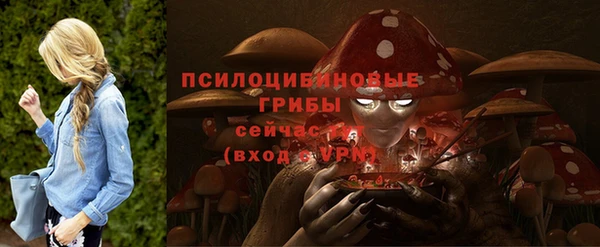 индика Богородицк