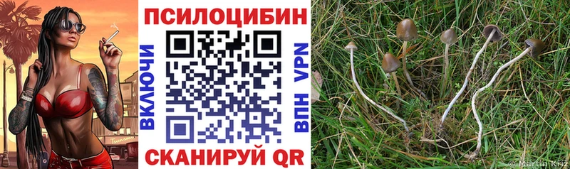 Псилоцибиновые грибы Magic Shrooms  что такое наркотик  kraken сайт  Верещагино 